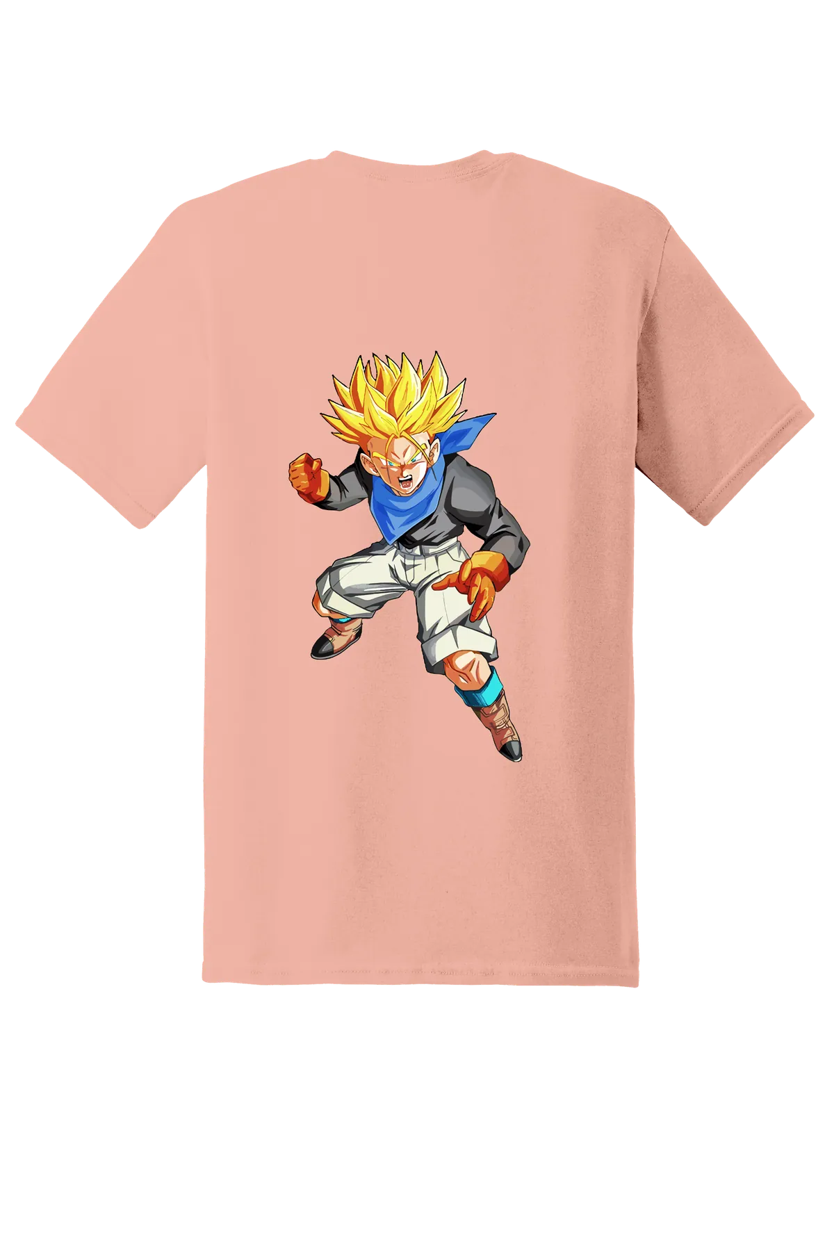 Dragon Ball Tee No. 403, Dusty Rose, back print