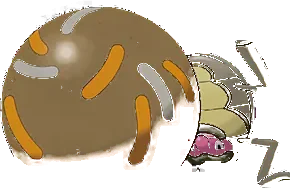Pokemon Rellor Tee