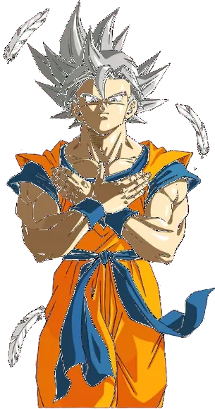 Dragon Ball Tee No. 78