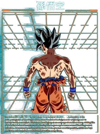 Dragon Ball Tee No. 35