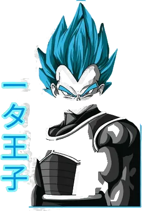 Dragon Ball Tee No. 209