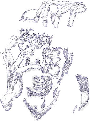 Hunter x Hunter Tee No. 63