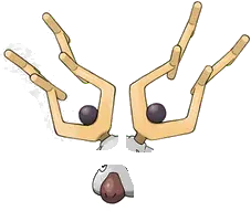 Pokemon Wyrdeer Tee