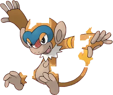 Pokemon Monferno Tee