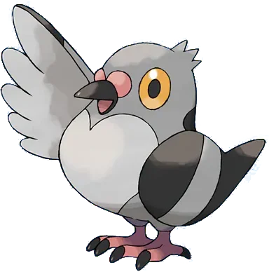 Pokemon Pidove Tee