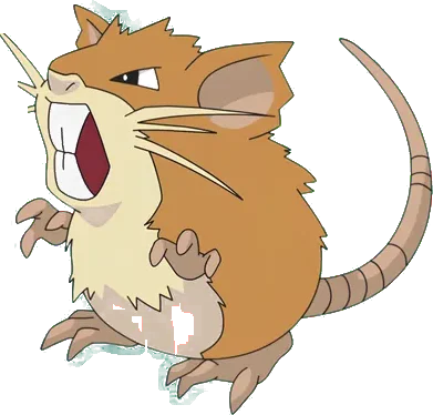 Pokemon Raticate Tee
