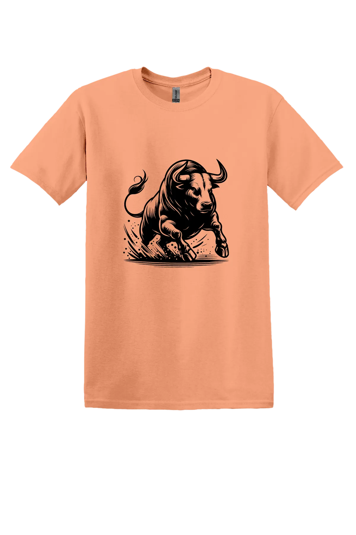 rodeo 176 Tee, Tangerine, front print