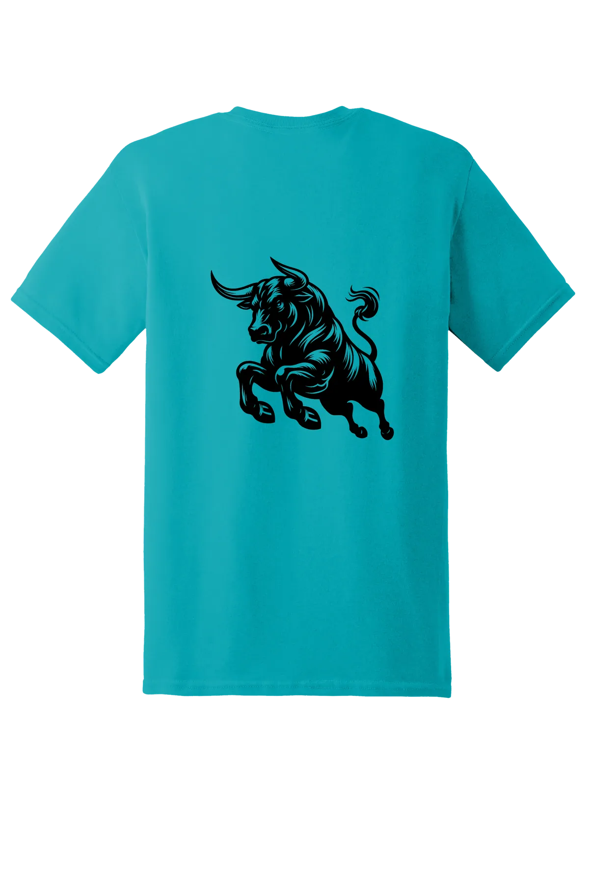 rodeo 7 Tee, Tropical Blue, back print